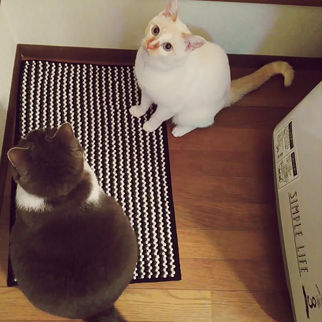 toufuさんの実例写真