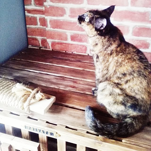 yukapiyonさんの実例写真