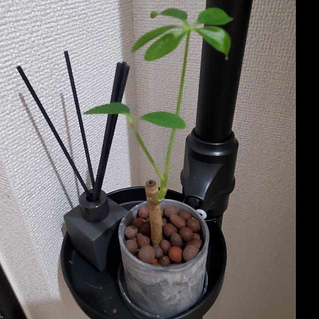 Riokaさんの部屋