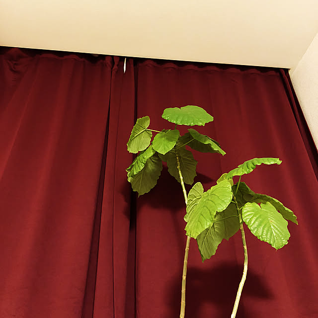 Junさんの実例写真