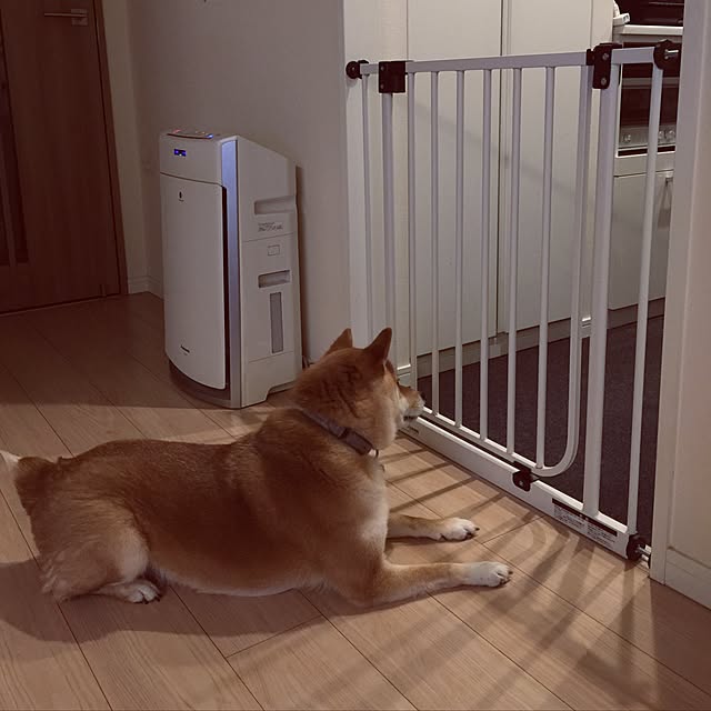 canal108yyさんの実例写真