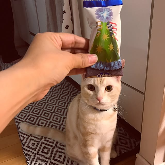 hiyupan88さんの実例写真