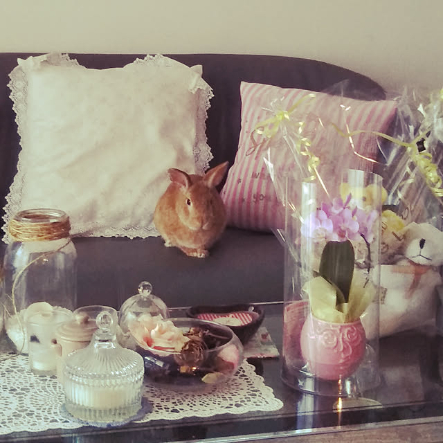 maikoさんの実例写真