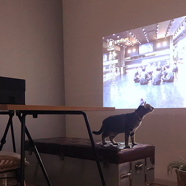 adgjmptwさんの実例写真