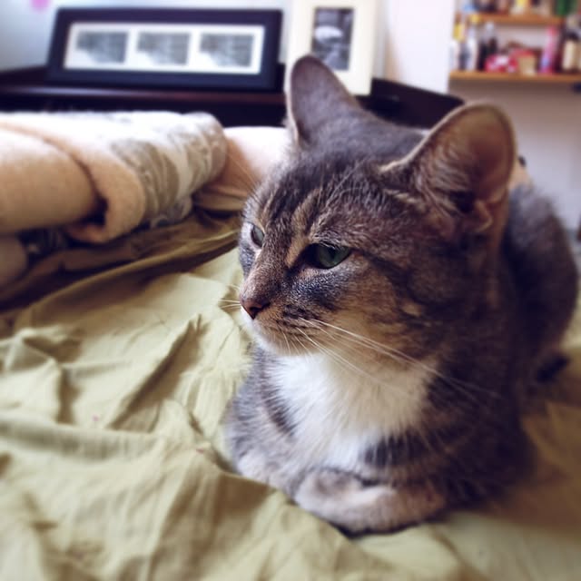 orangeさんの実例写真