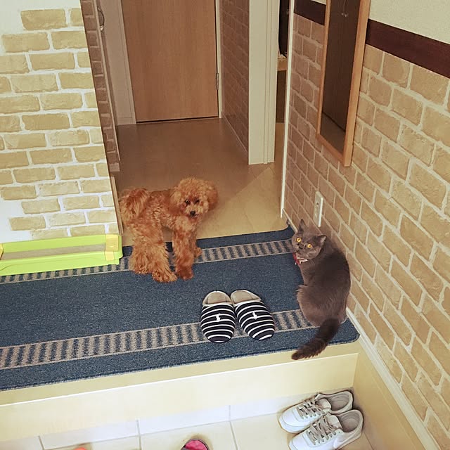 kazuさんの実例写真