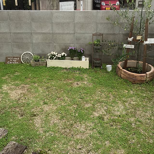ringoさんの実例写真