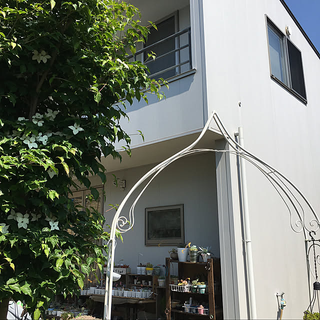 pitaさんの実例写真