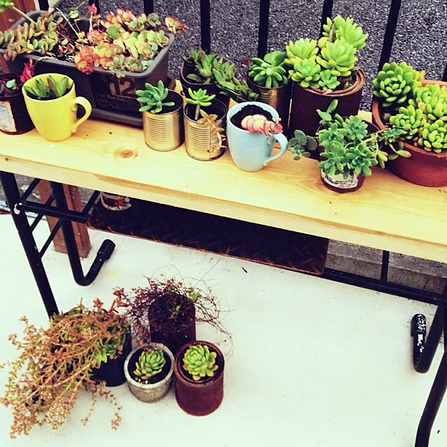 botanさんの実例写真
