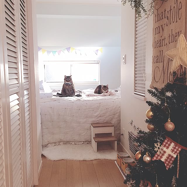 lovecatさんの実例写真