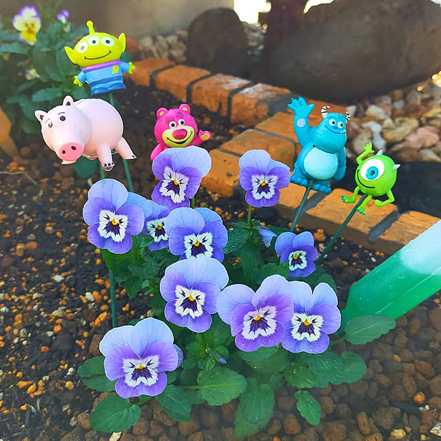 pecoさんの実例写真