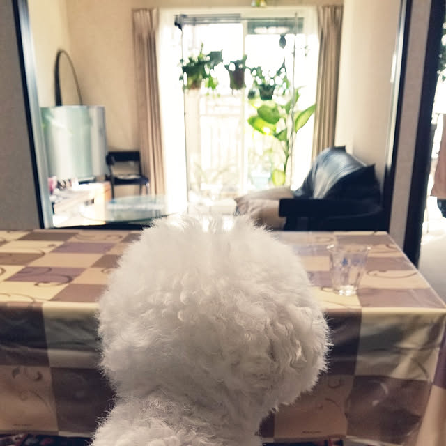 takoさんの実例写真