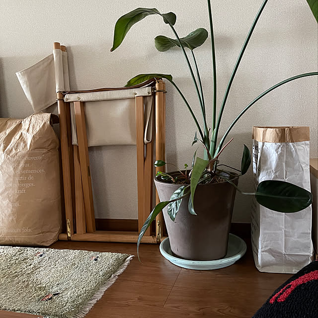 観葉植物/ギャッベ/北欧/Nordic interior/ナチュラル...などのインテリア実例 - 2021-08-31 08:05:06