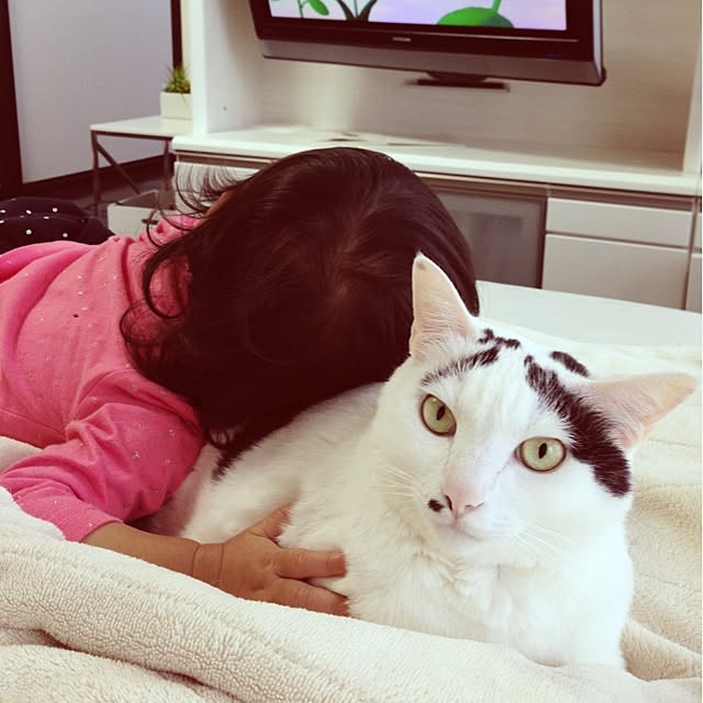 muraさんの実例写真