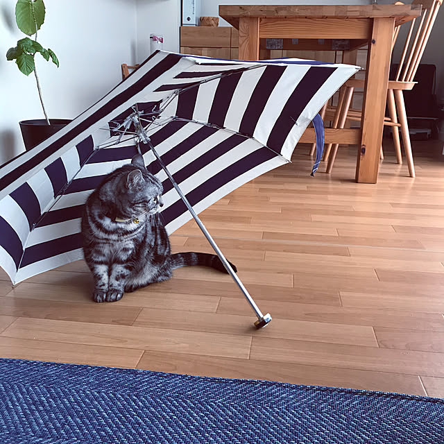 hiyupan88さんの実例写真