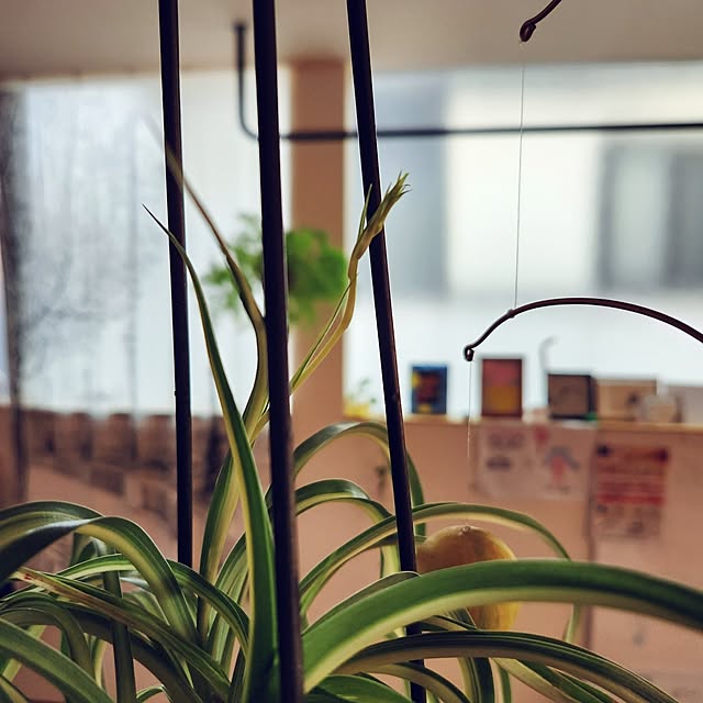 ezさんの実例写真