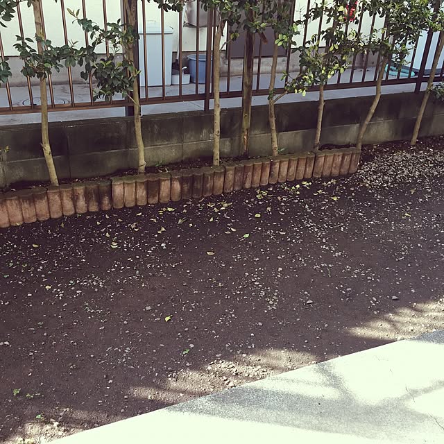 1hime2taro_mamaさんの実例写真