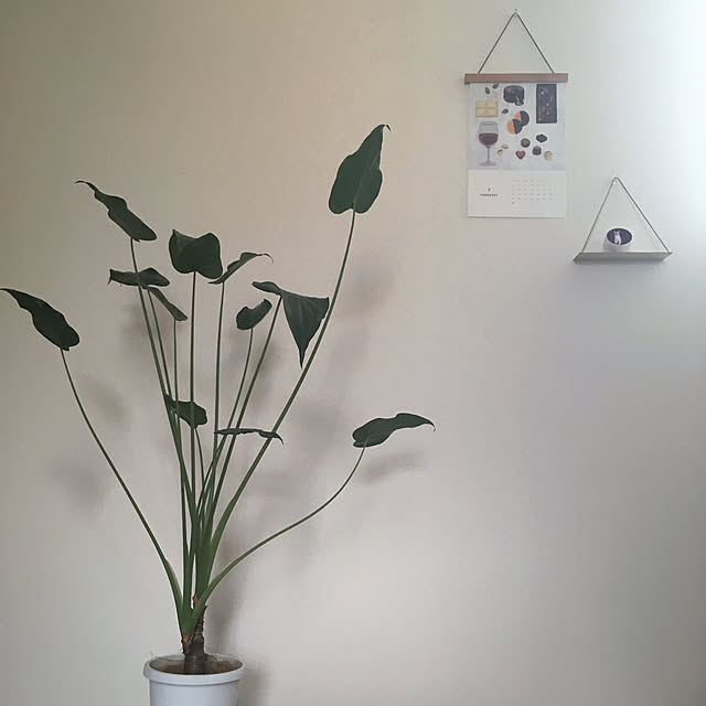 suna_kitsuneさんの実例写真