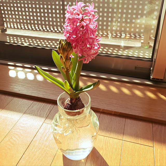 花瓶 ヒヤシンス水栽培のおすすめ商品とおしゃれな実例 花瓶 ヒヤシンス水栽培のおすすめ商品とおしゃれな実例