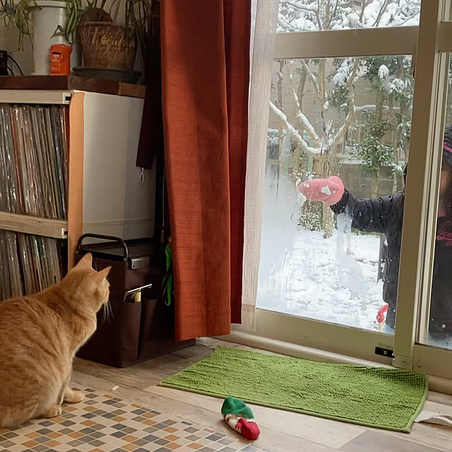 tomorinさんの実例写真