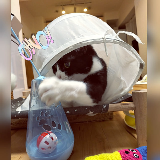 hihaさんの実例写真