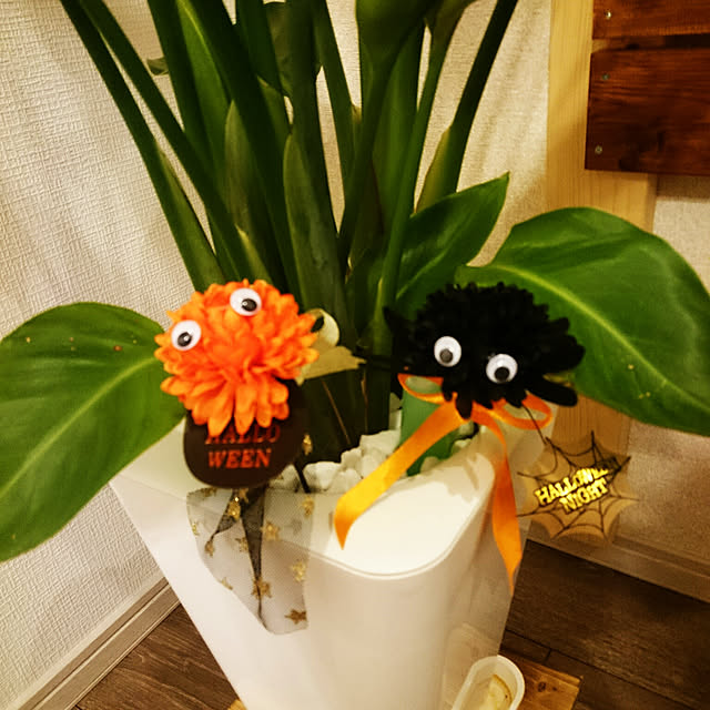 anazuさんの実例写真