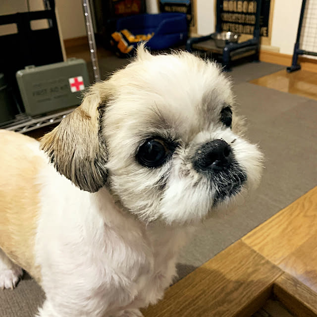 lenkaさんの実例写真