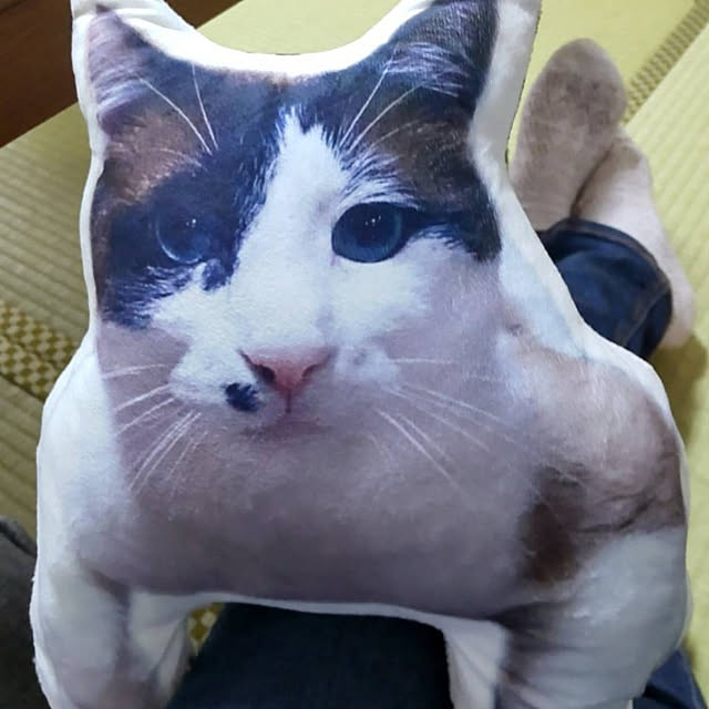 ryouさんの実例写真