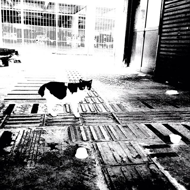 mobiri57さんの実例写真
