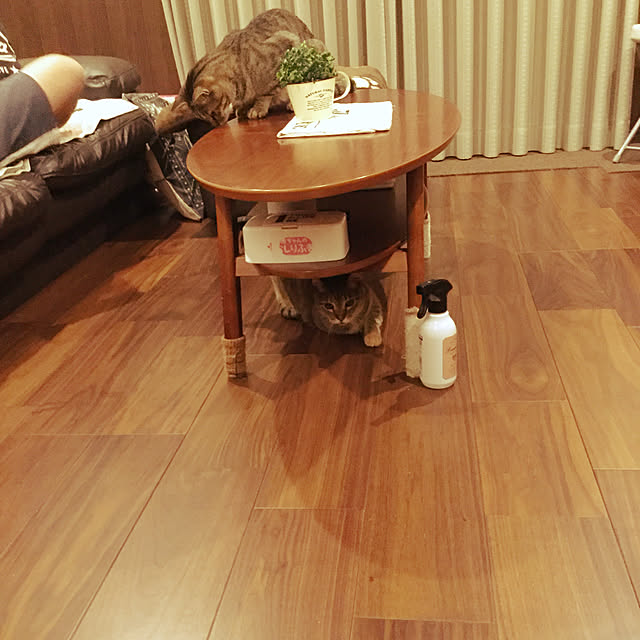 chikaさんの実例写真