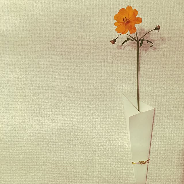 Sa0120さんの実例写真