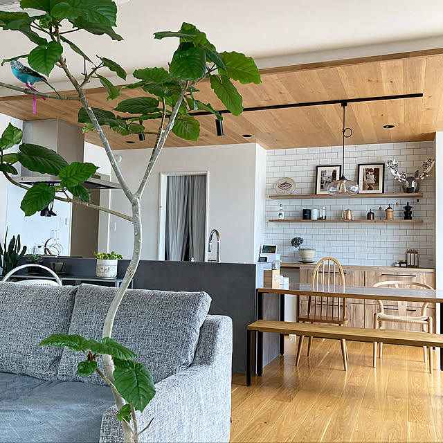 h_b_home2022さんの実例写真