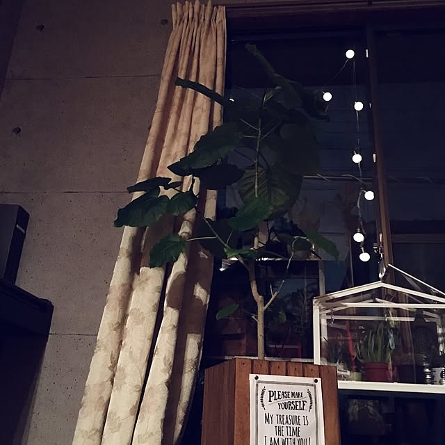 onokenkoさんの実例写真