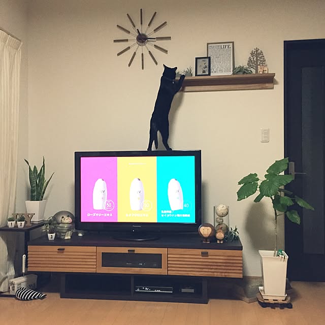 yuki0511さんの実例写真