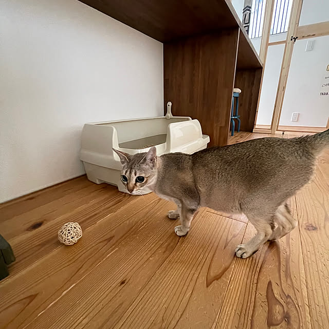 green_nekoさんの実例写真