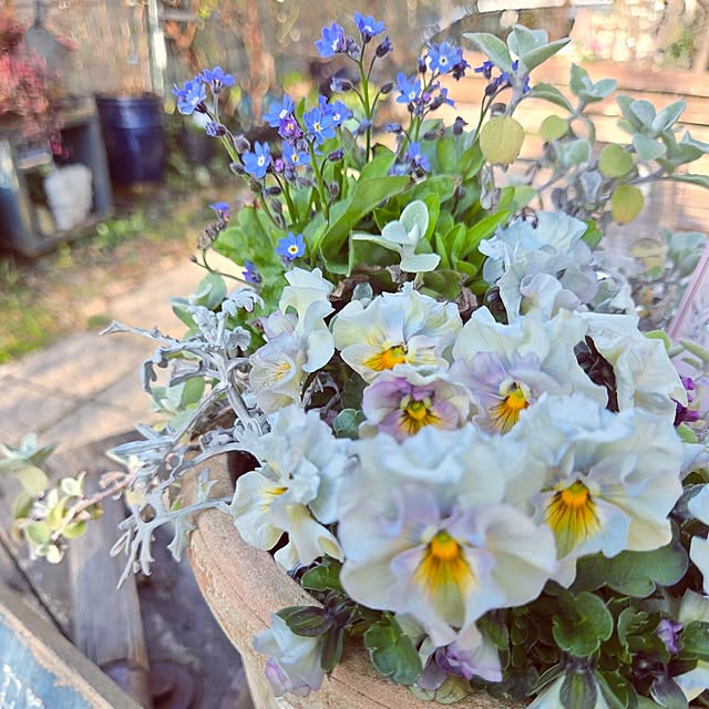 min_nimさんの部屋