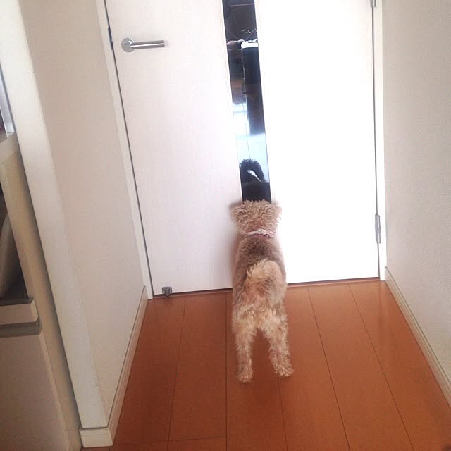 yさんの実例写真