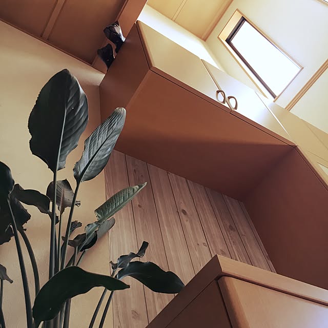 toshiさんの実例写真