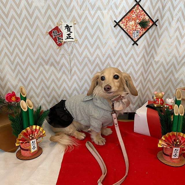 chihiroさんの実例写真