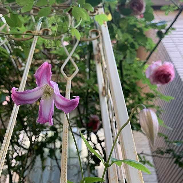 noinoi99さんの実例写真