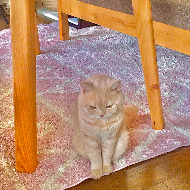 naokoさんの実例写真