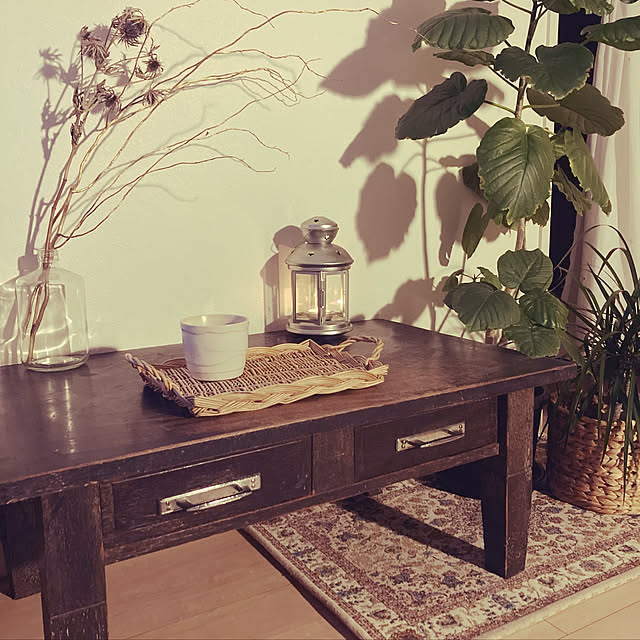 アンティーク/観葉植物/IKEA/雑貨/ドライフラワー...などのインテリア実例 - 2023-02-21 21:53:42