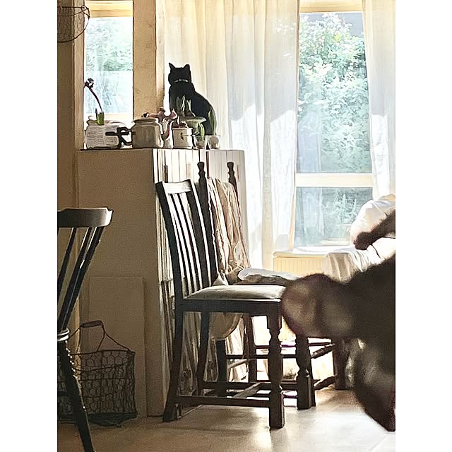 ataさんの実例写真