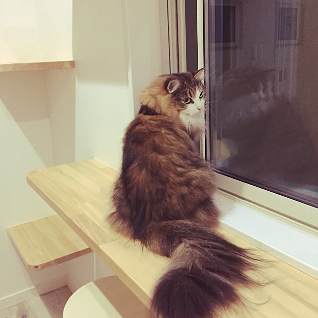 norfraさんの実例写真