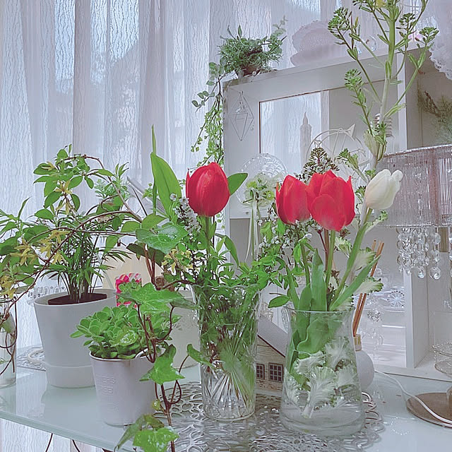 shoさんの実例写真