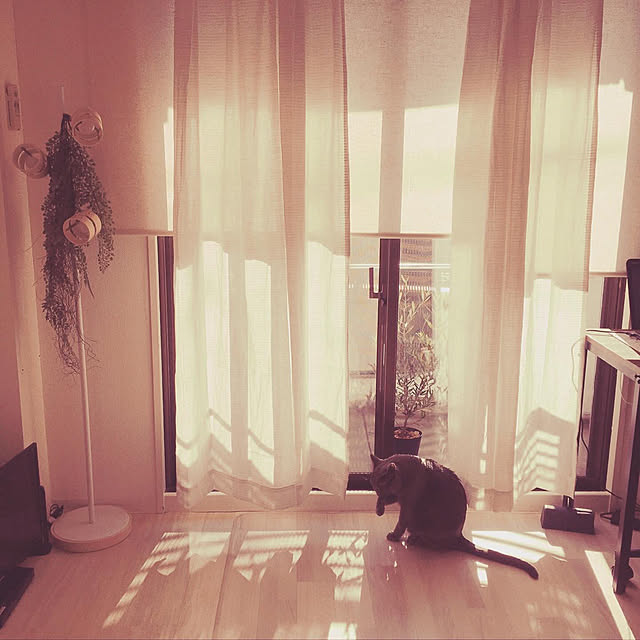 leaさんの実例写真
