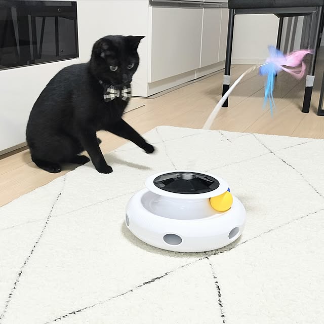sakuraさんの実例写真