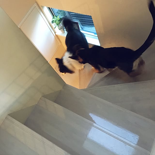 keloさんの実例写真