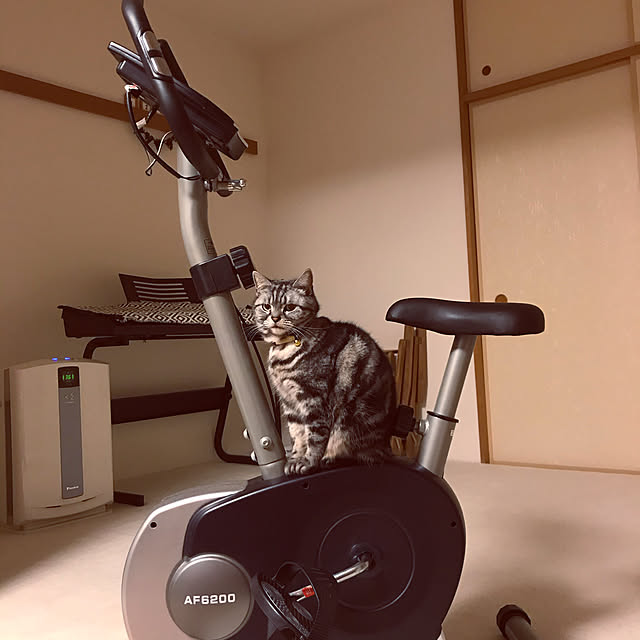 hiyupan88さんの実例写真