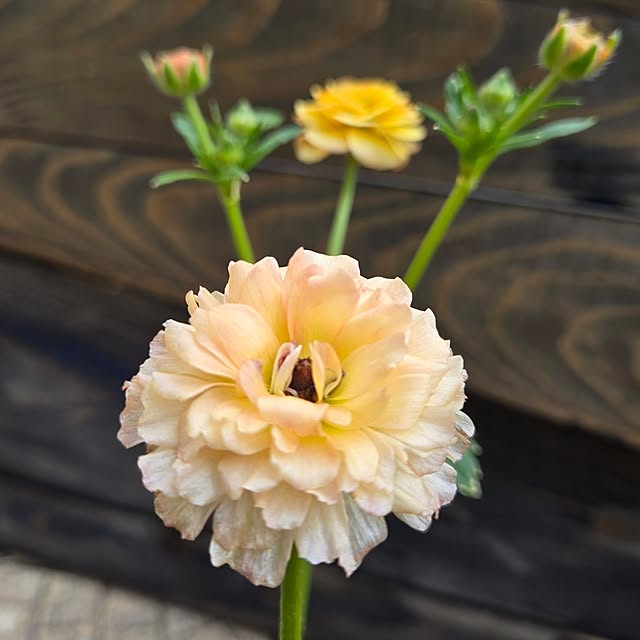 min_nimさんの部屋